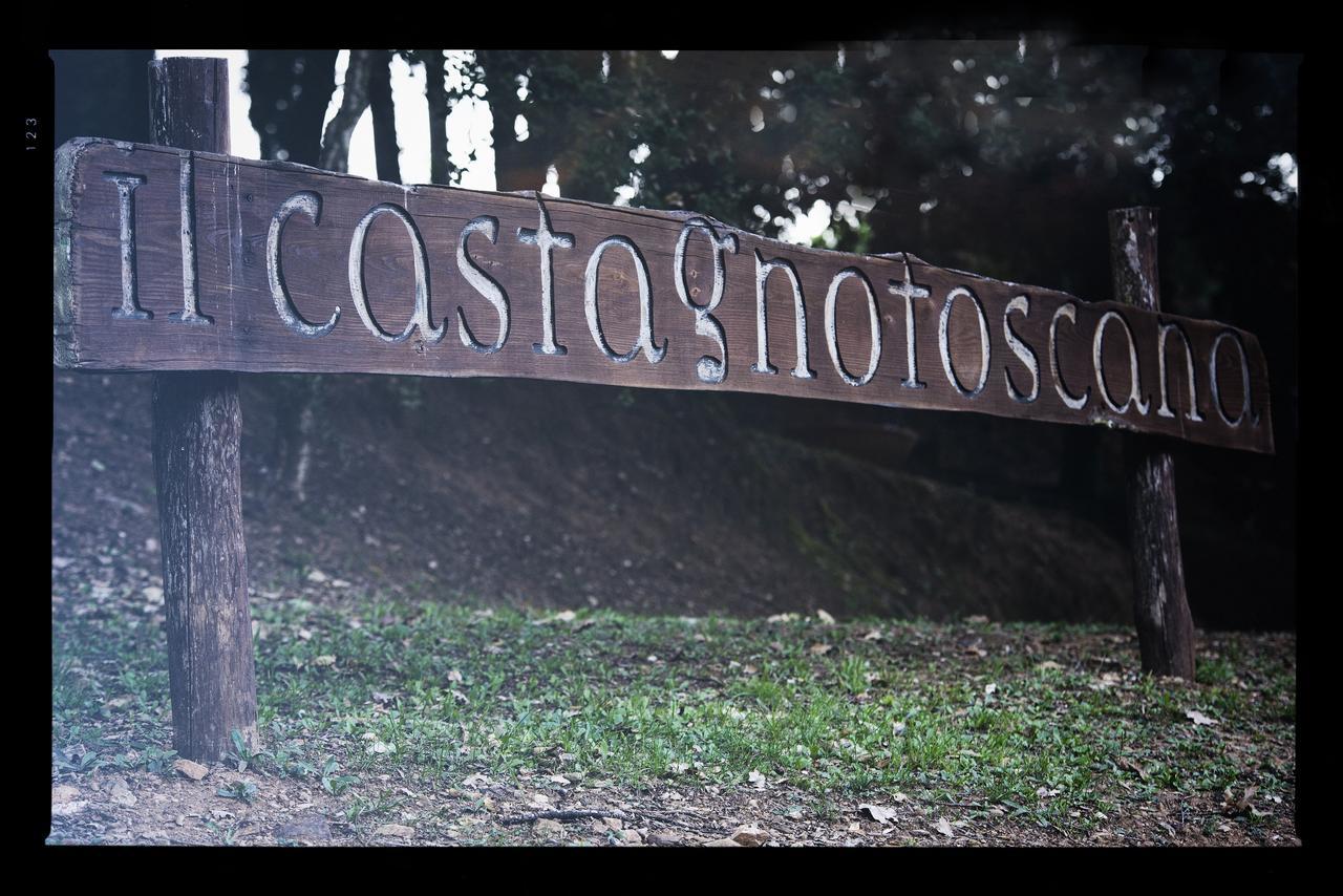 Il Castagno Toscana 坎丕里亚麦利蒂玛 外观 照片